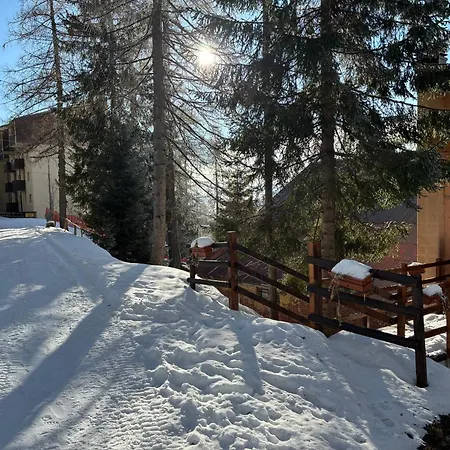 Panzió Stella Alpina 3*