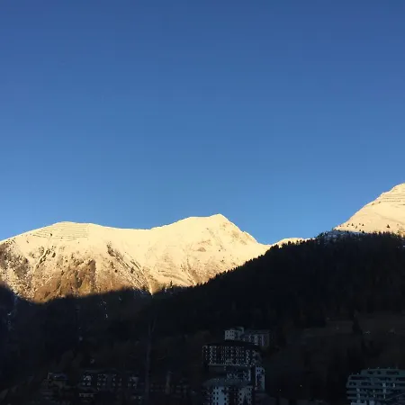 Stella Alpina
