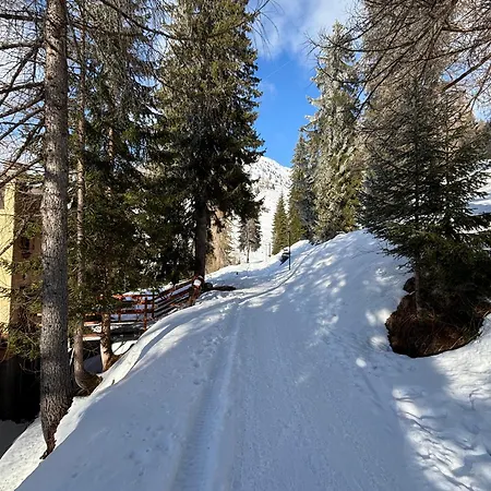 Stella Alpina Foppolo