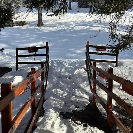 Stella Alpina 3* Foppolo