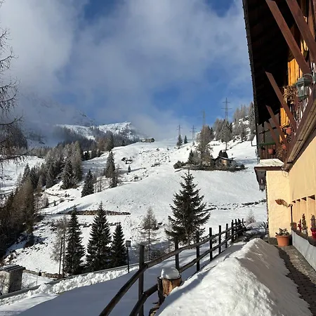 Stella Alpina Foppolo