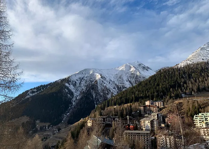 Stella Alpina Bed and breakfast