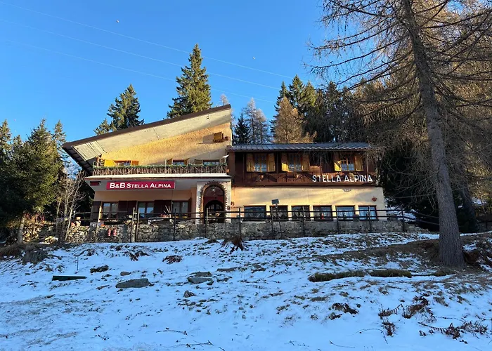Stella Alpina Bed and breakfast