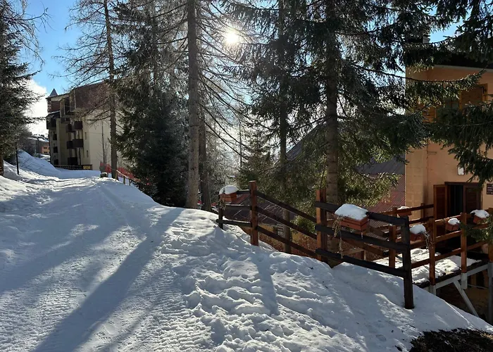 Bed and breakfast Stella Alpina 3*